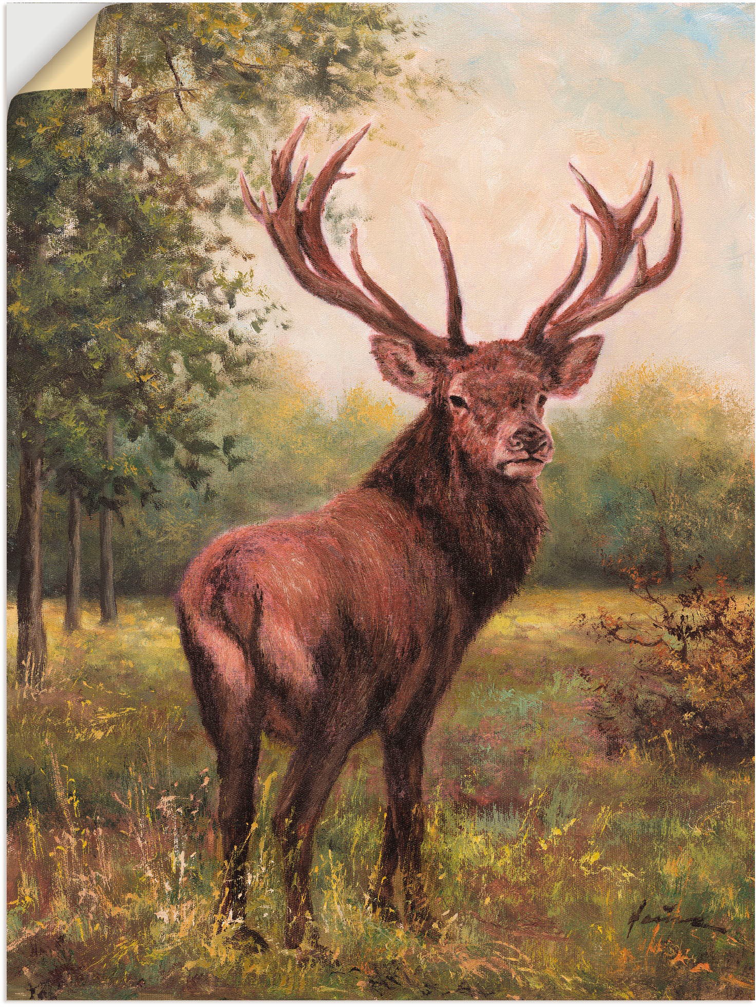 Artland Wandbild "Hirsch", Wildtiere, (1 St.), als Leinwandbild, Poster, Wa günstig online kaufen