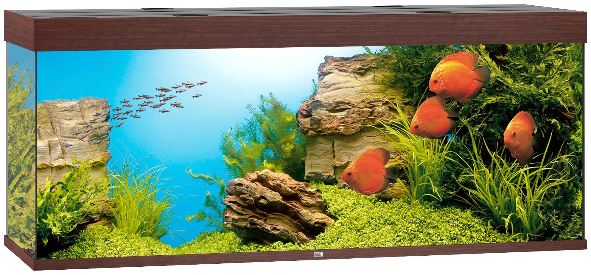 Juwel Aquarien  Aquarium Rio 450 Led, Bxtxh: 151x51x66 Cm, 450 L