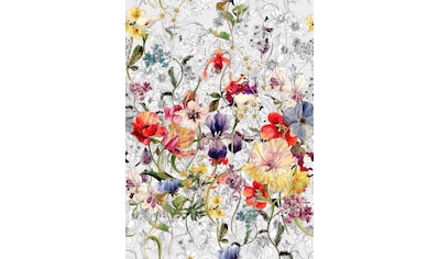 Komar Fototapete »Flora«, bedruckt-floral-geblümt, ausgezeichnet lichtbeständig kaufen