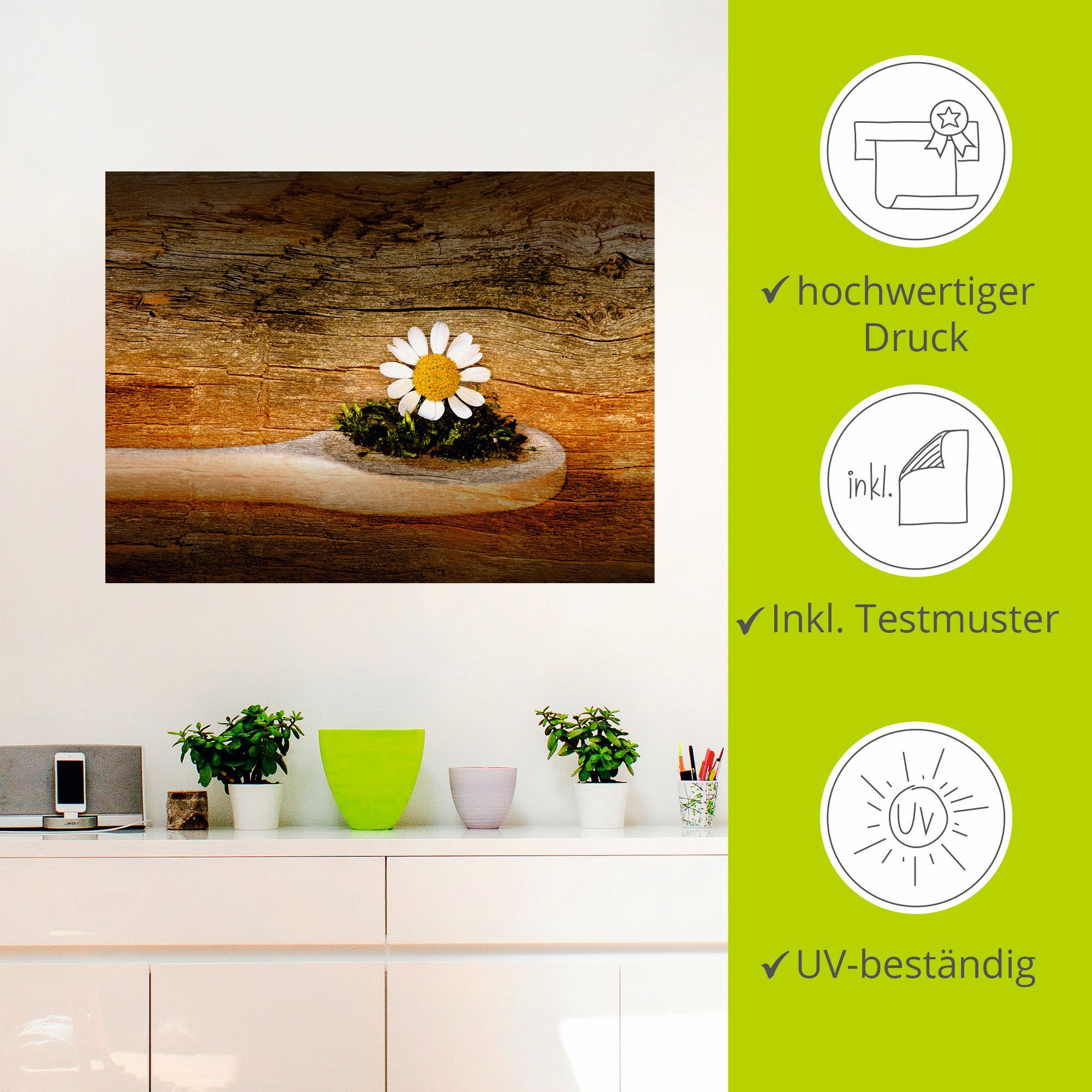 Artland Wandbild »Kamille«, Blumen, (1 St.), als Leinwandbild, Wandaufkleber in verschied. Größen