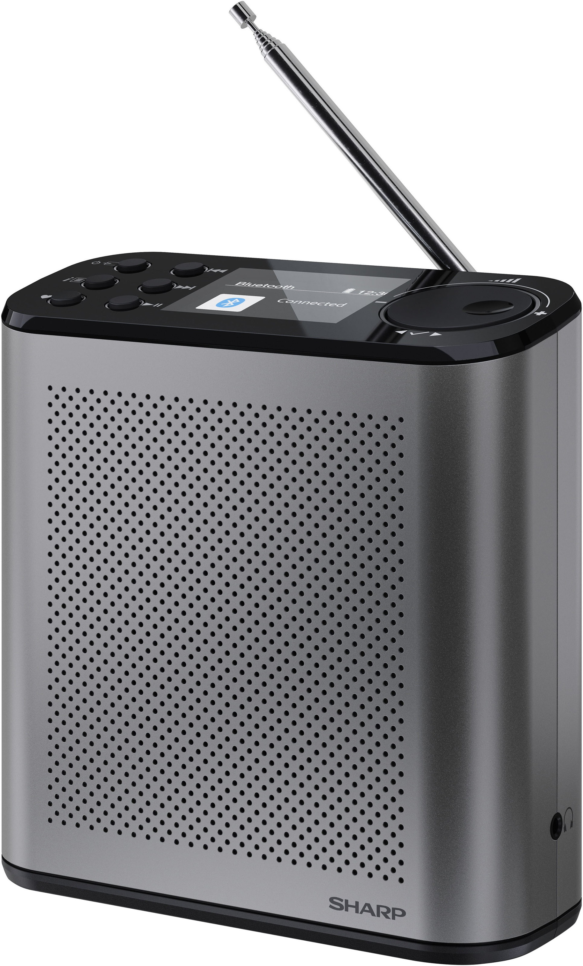 Sharp Digitalradio (DAB+) »DR-P530(GY)« (Bluetooth Digitalradio (DAB+) | UKW mit RDS )