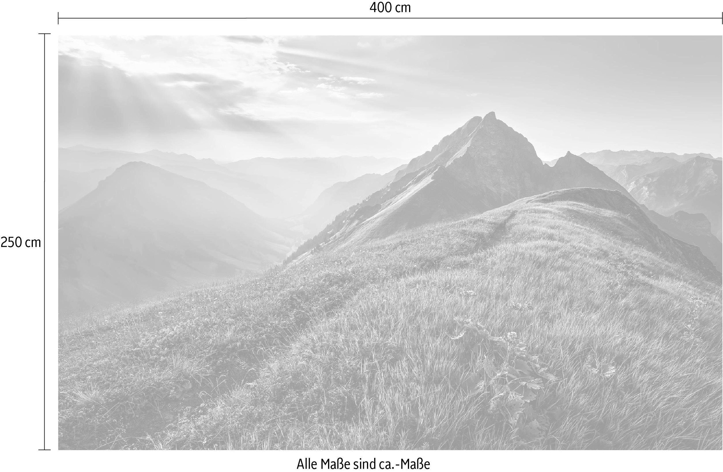 Komar Vliestapete »Digitaldruck Vlies -  Green Vein - Größe 400 x 250 cm« bedruckt glatt Wohnzimmer, Schlafzimmer