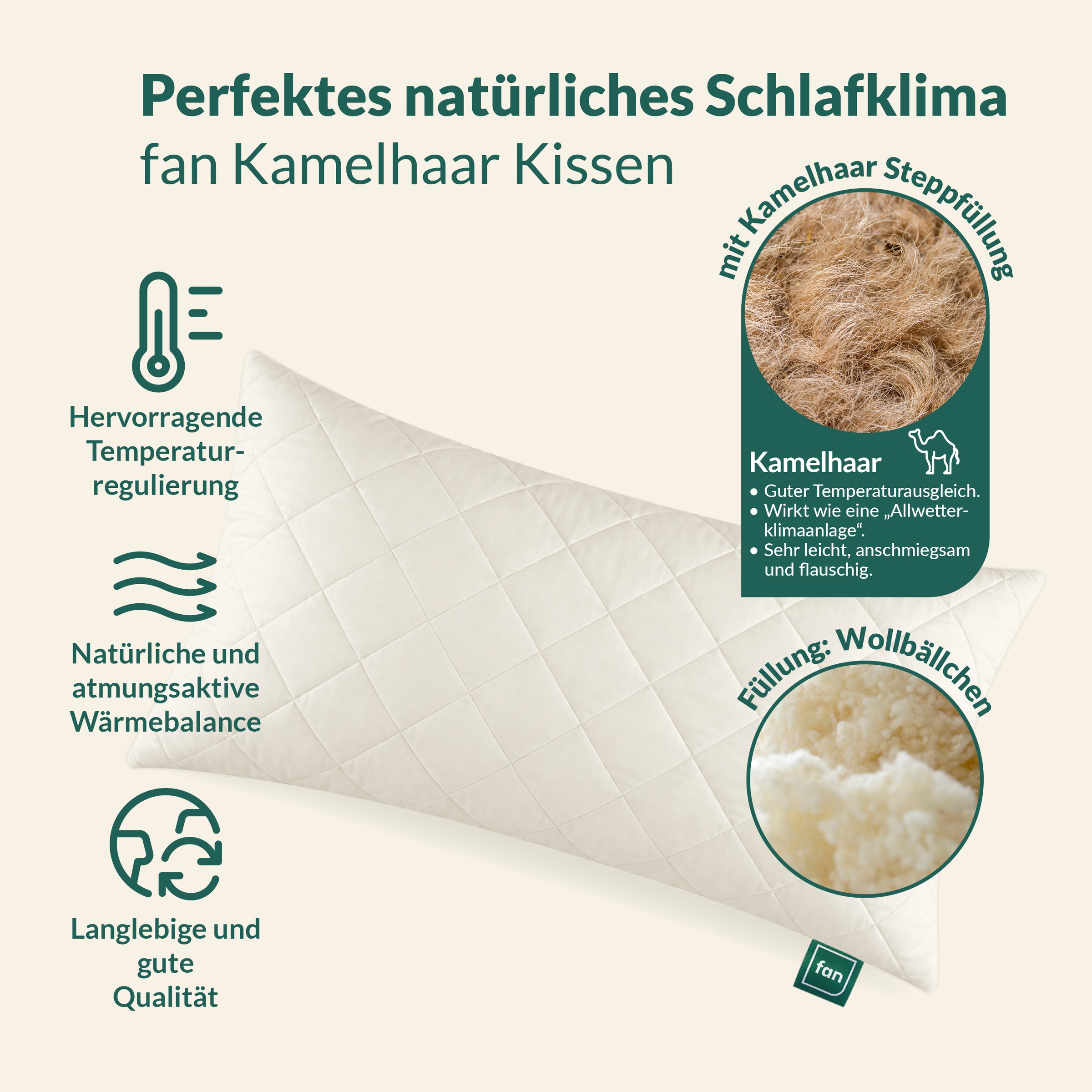 fan Naturfaserkissen "Gobi, Kopfkissen in 40x80 & 80x80 cm, Made in Germany" Füllung: 97Wolle3sonstigeFasern 1 Stk. tlg. Kissenbezug aus Baumwolle mit Kamelhaar versteppt, Füllung aus Wolle