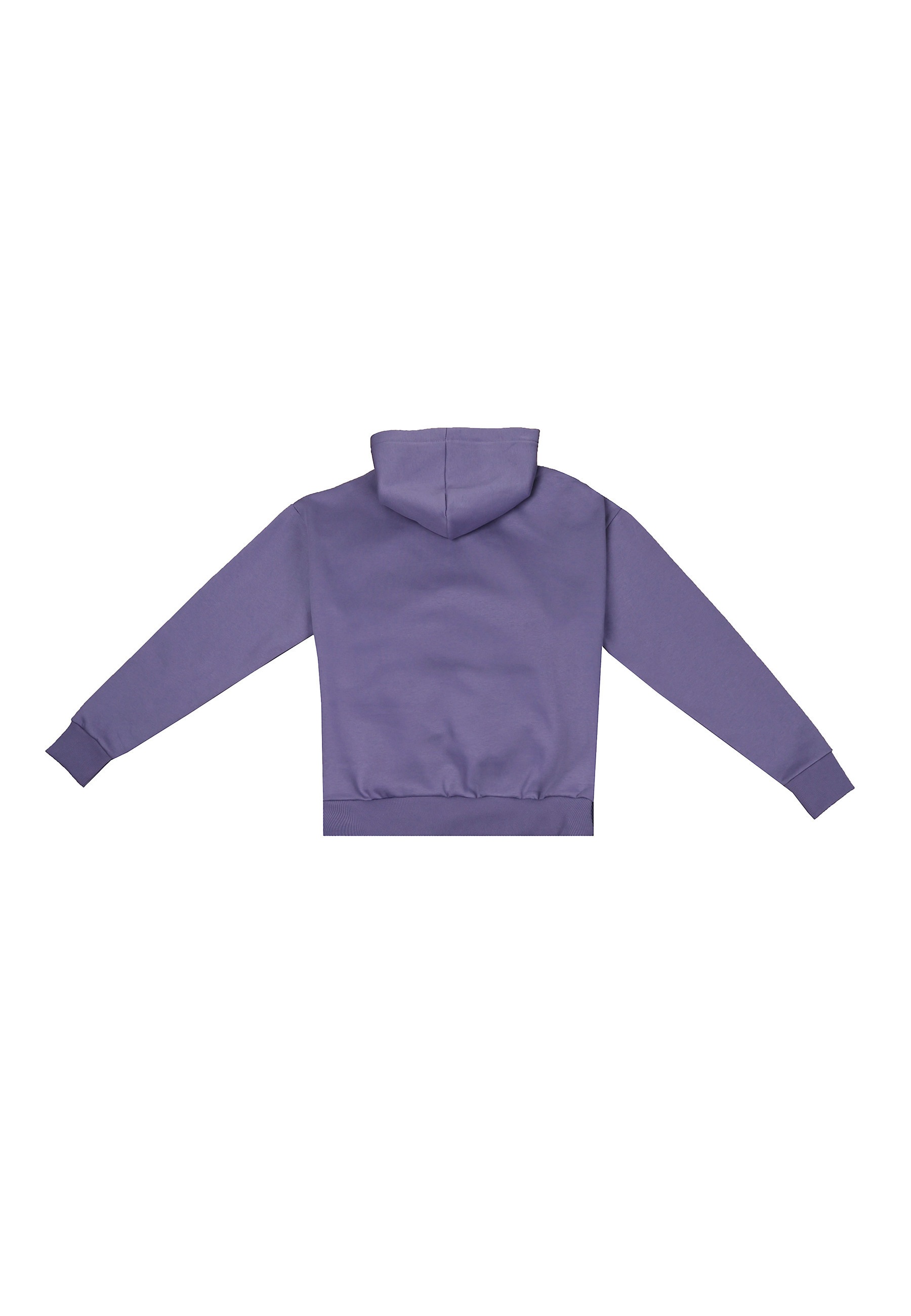 Dropsize Kapuzensweatshirt »Dropsize HEAVY OVERSIZE METAL PATCH HOODIE«, 1 Stk.
