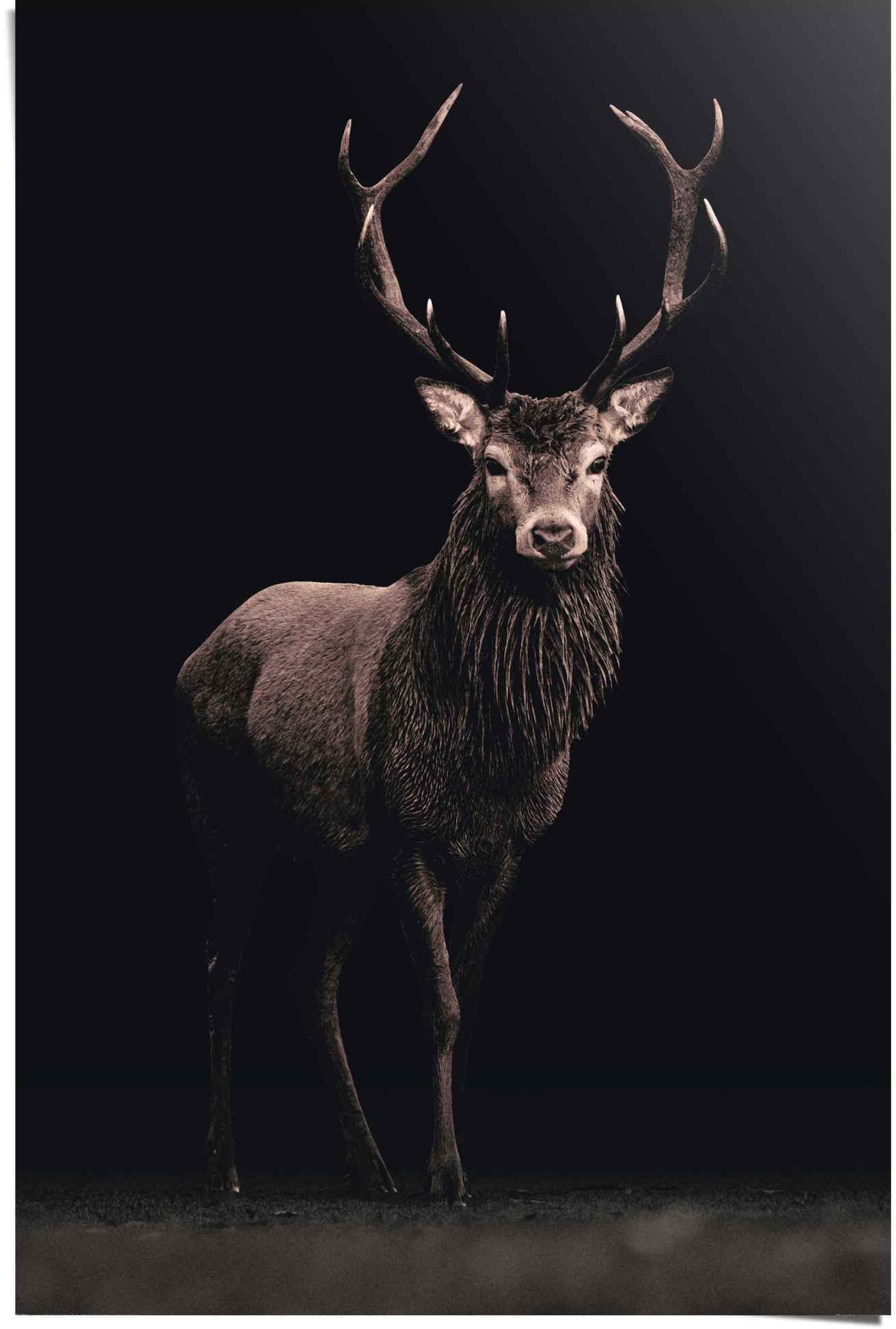 Reinders Poster "Poster Hirsch" Hirsche 1 Stk. tlg. günstig online kaufen