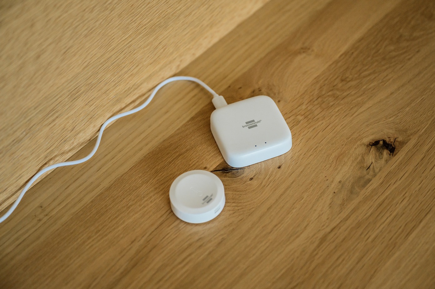 Brennenstuhl Fensterthermometer "Zigbee Temperatur- und Feuchtigkeitssensor günstig online kaufen
