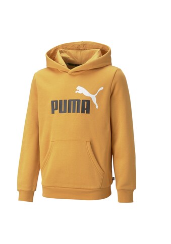 PUMA Sportinio stiliaus megztinis »Essentia...