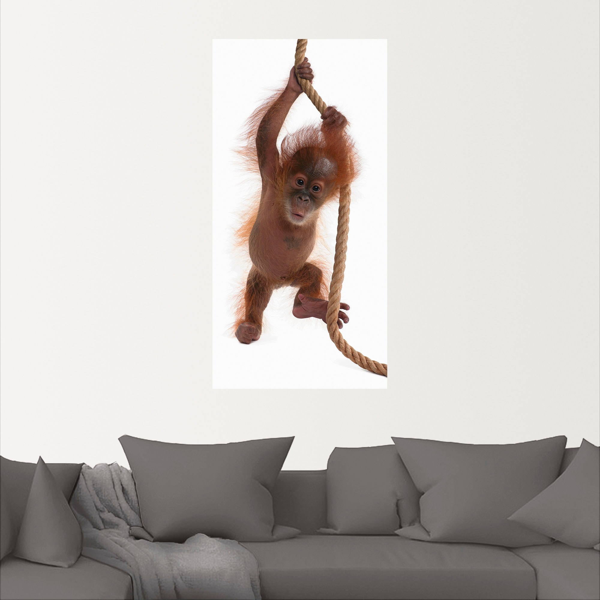 Artland Wandbild "Baby Orang Utan hängt am Seil I", Wildtiere, (1 St.), als günstig online kaufen