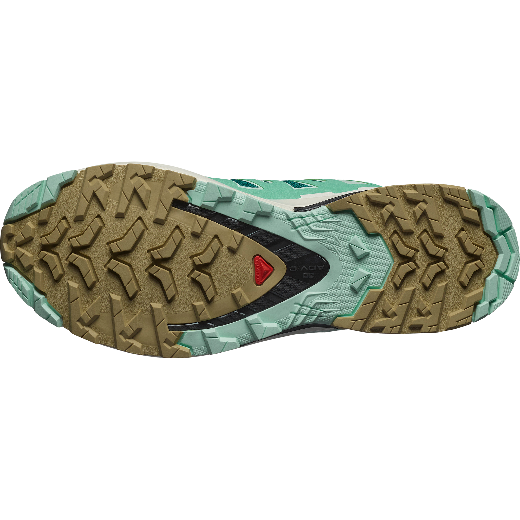 Salomon Trailrunningschuh »XA PRO 3D V9 GORE-TEX«, wasserdicht