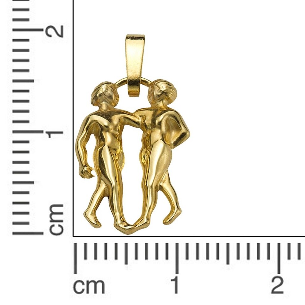 Firetti Sternzeichenanhänger »Schmuck Geschenk Gold 333 Halsschmuck Anhänger Halskette Sternzeichen«