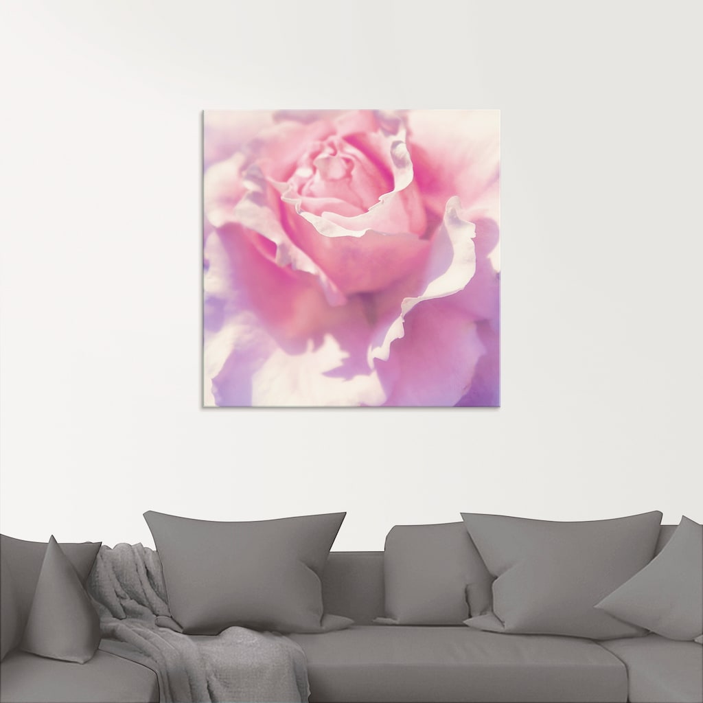 Artland Glasbild »Rosa«, Blumen, (1 St.)