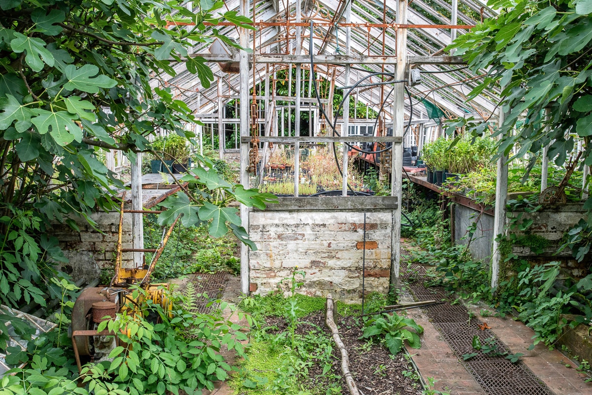 PAPERMOON Fototapete "Alter Wintergarten", B/L: 2,5m x 1,86m, Bahnen: 5 Stk., bunt, Schlafzimmer, Tapeten