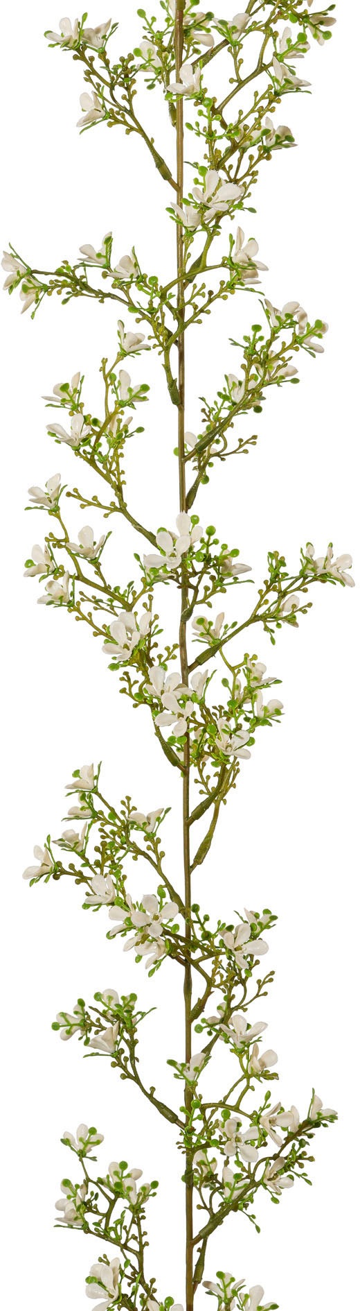 Creativ green "Jasmingirlande" 2er Set günstig online kaufen