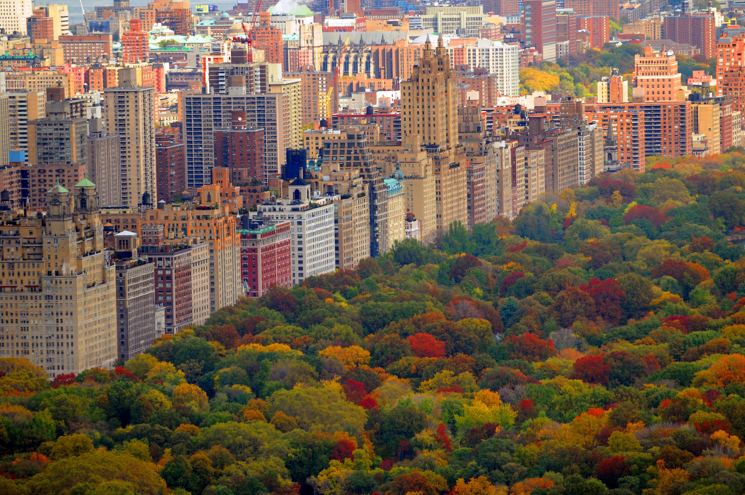 Papermoon Fototapete "Central Park" glatt