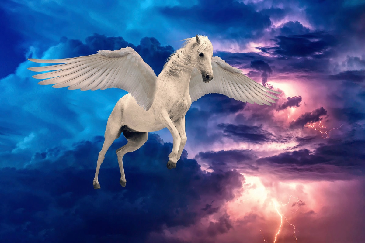 Papermoon "Pegasus"