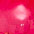 bunt