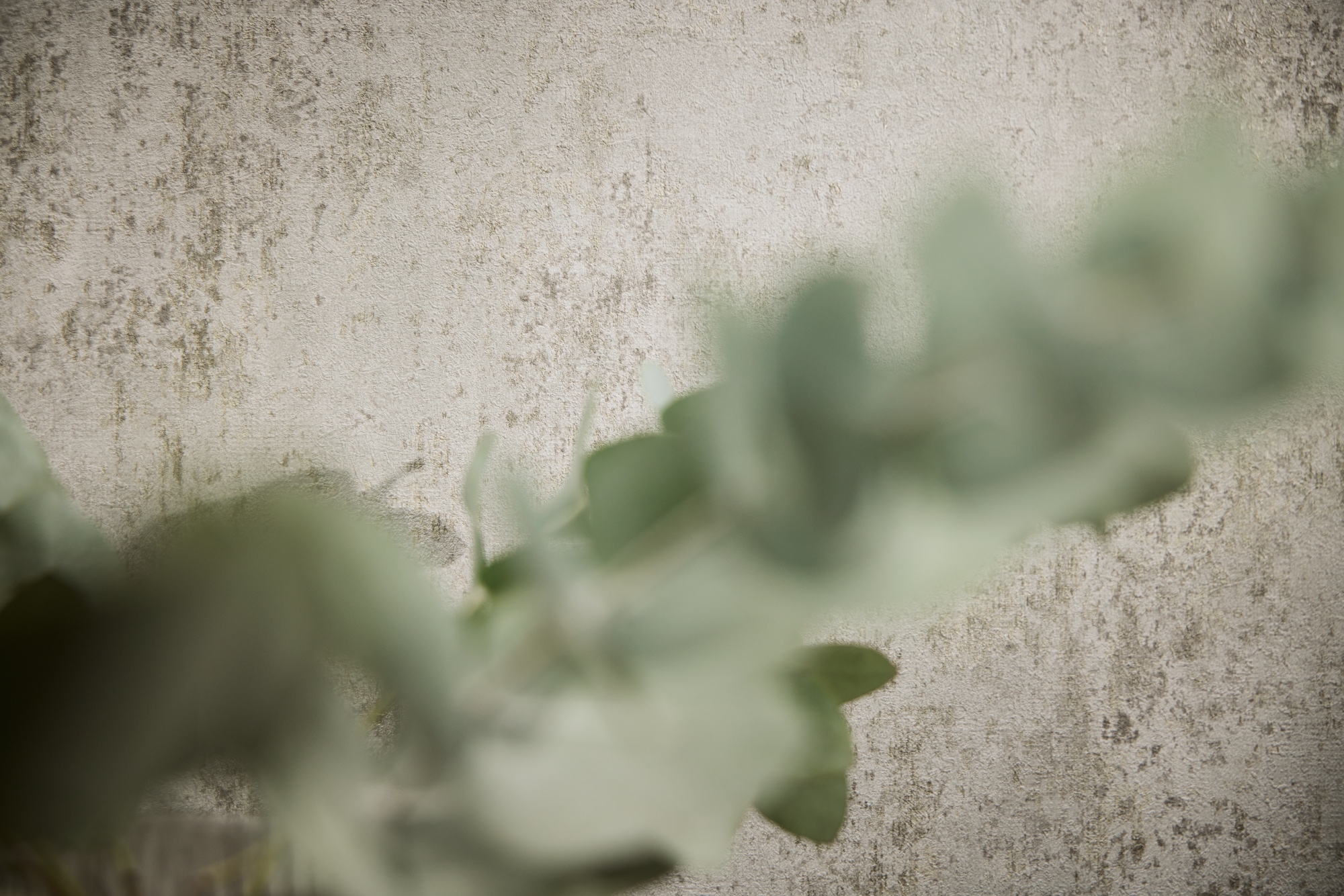 living walls Vliestapete »struktur Vliestapete in Beton-Optik Farbvarianten« urban strukturiert