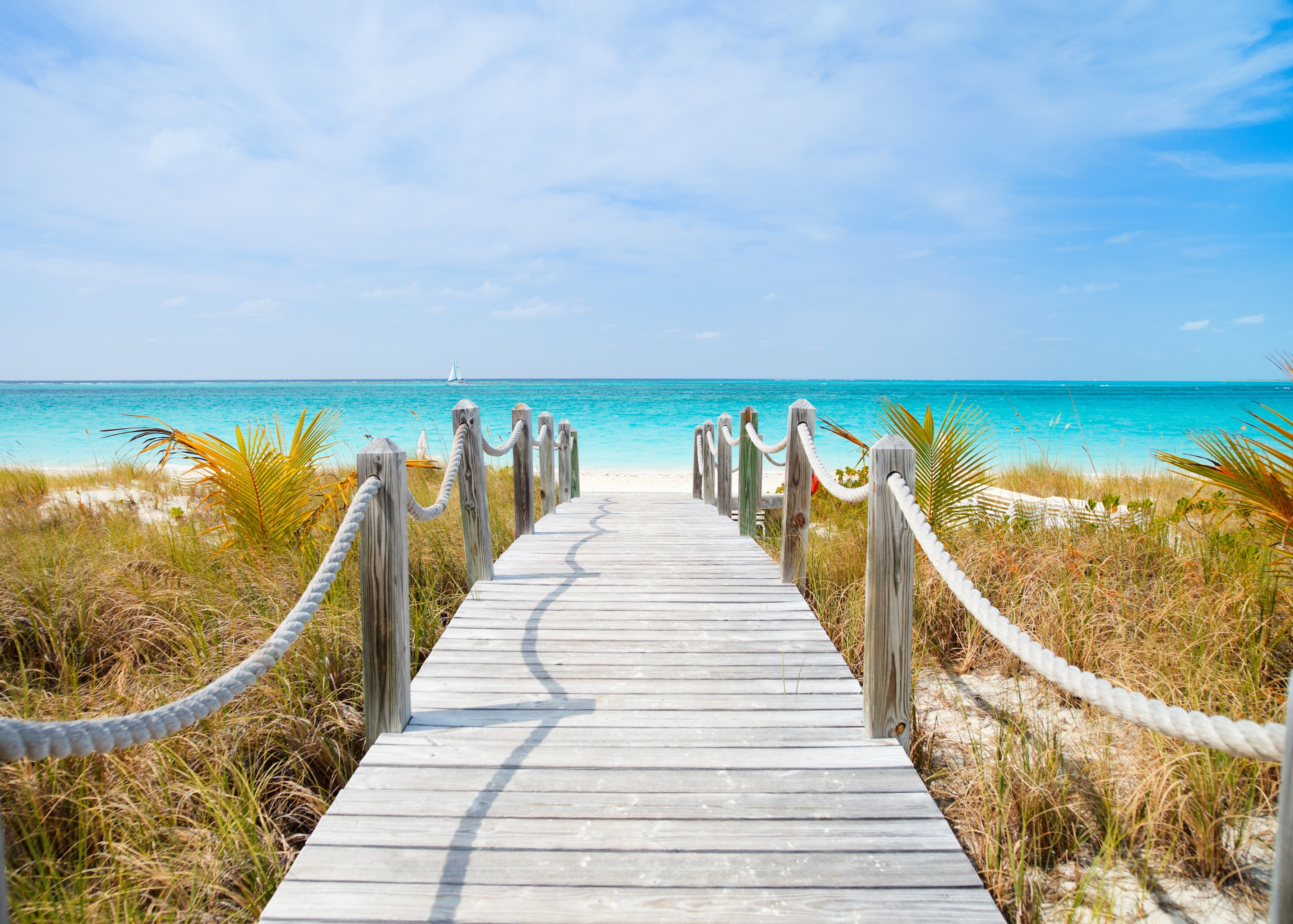 Papermoon Fototapete "Dunes Carribean Beach" glatt