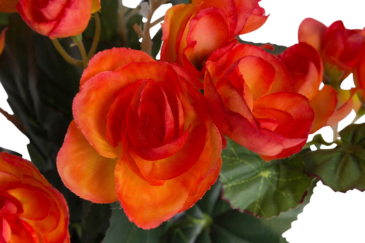 Botanic-Haus Kunstblume »Begonienbusch mit 7 Stielen«