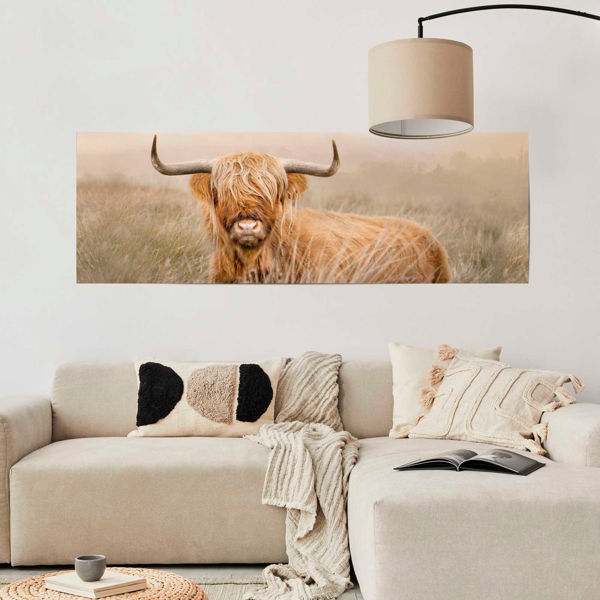 Reinders Poster "Hochlandrind" günstig online kaufen