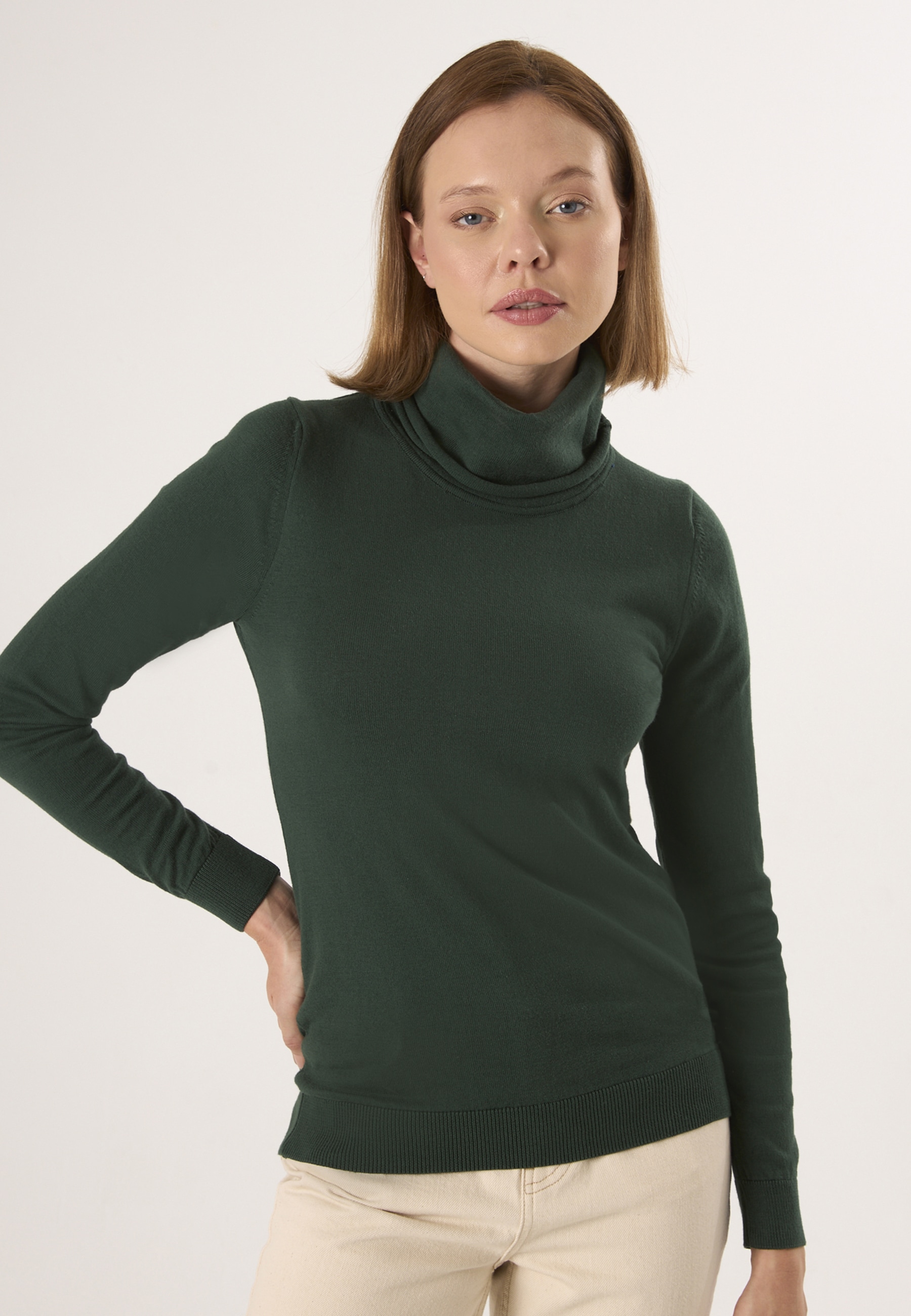 Felix Hardy "Rollkragenpullover"