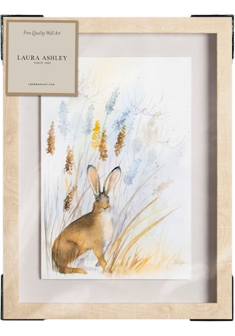 Laura Ashley Paveikslas su grotelės »Country Hare« ...