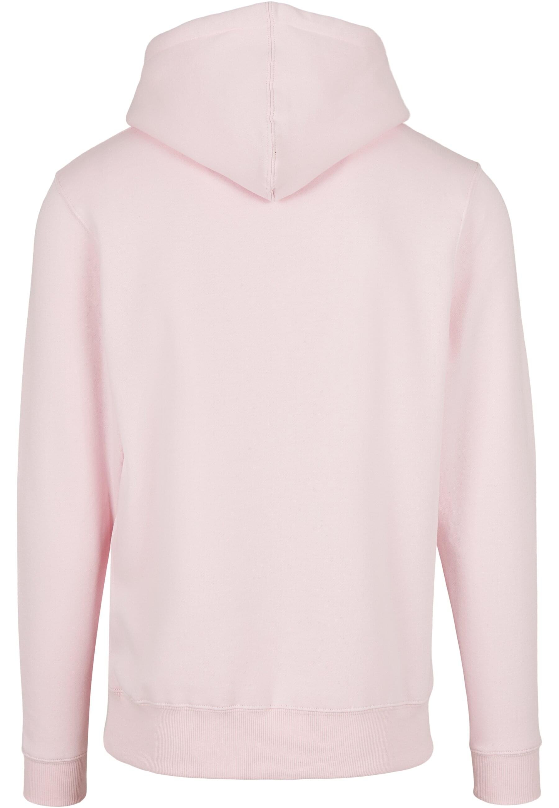 CAYLER & SONS Kapuzensweatshirt "Cayler & Sons Herren C&S Plain Hoody", 1 S günstig online kaufen