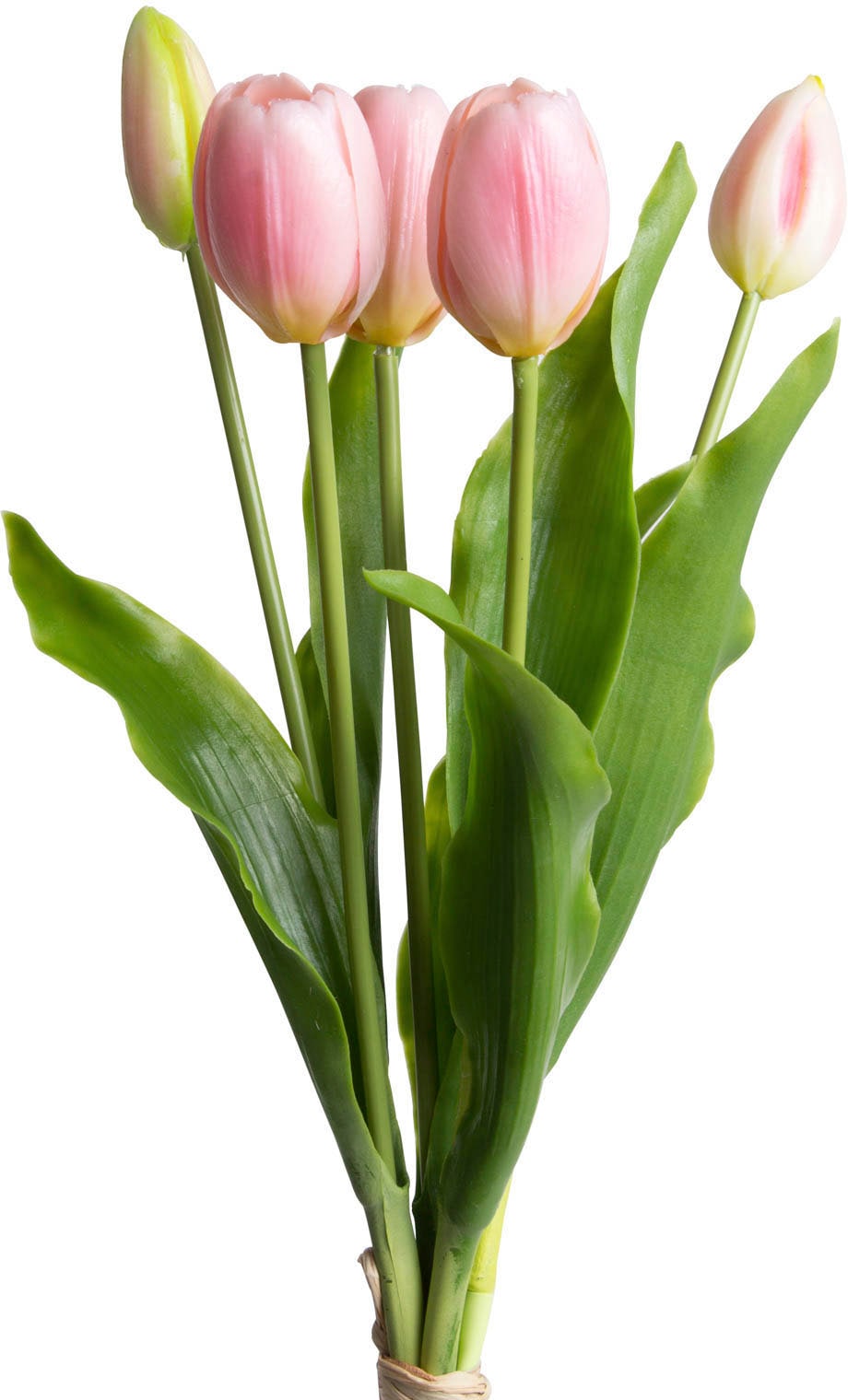 OTTO home Kunstblume "Tulpenbündel Holland real Touch"