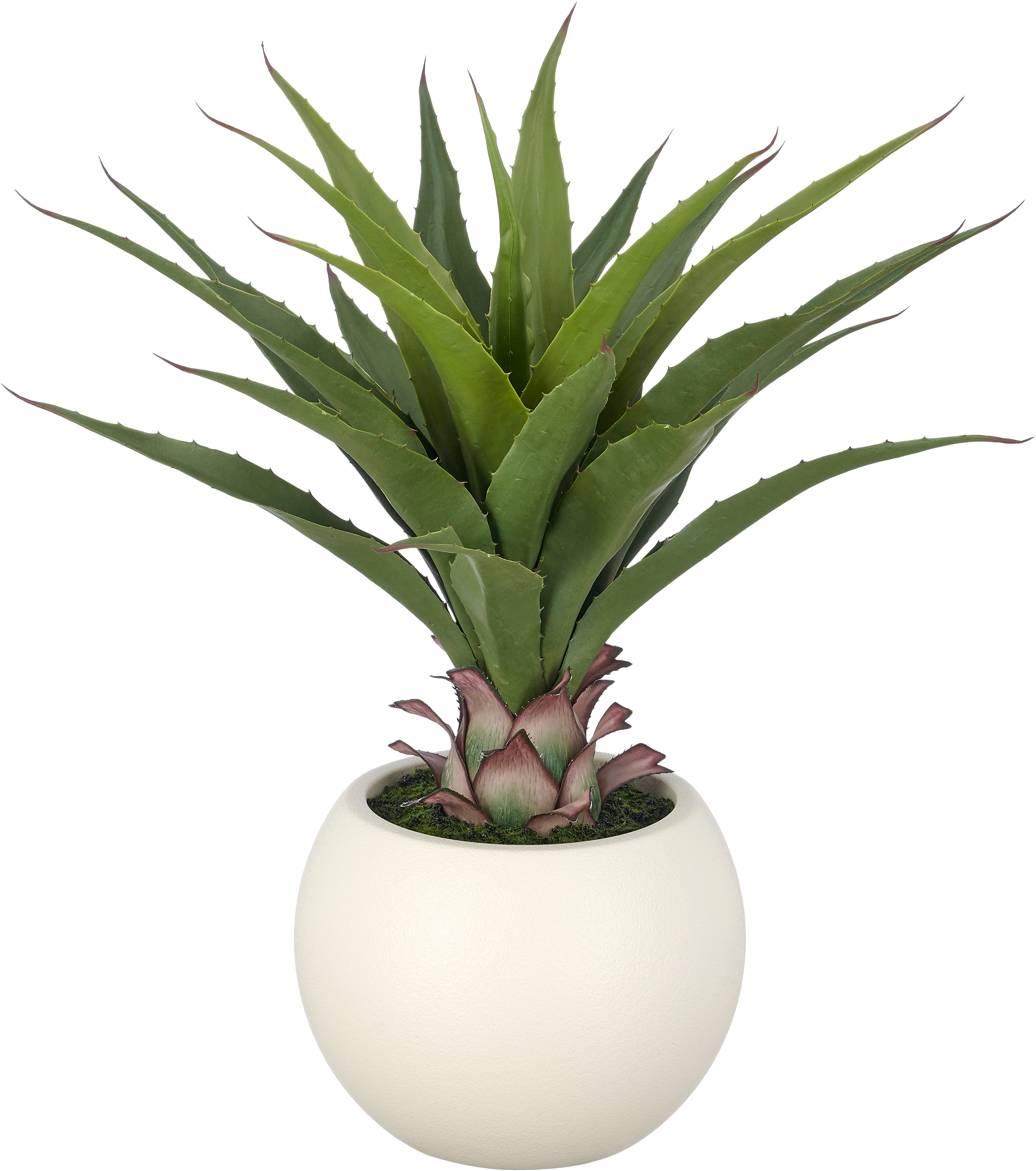 Creativ green Kunstpflanze "Agave salmiana" mit naturgetreuem Blattwerk