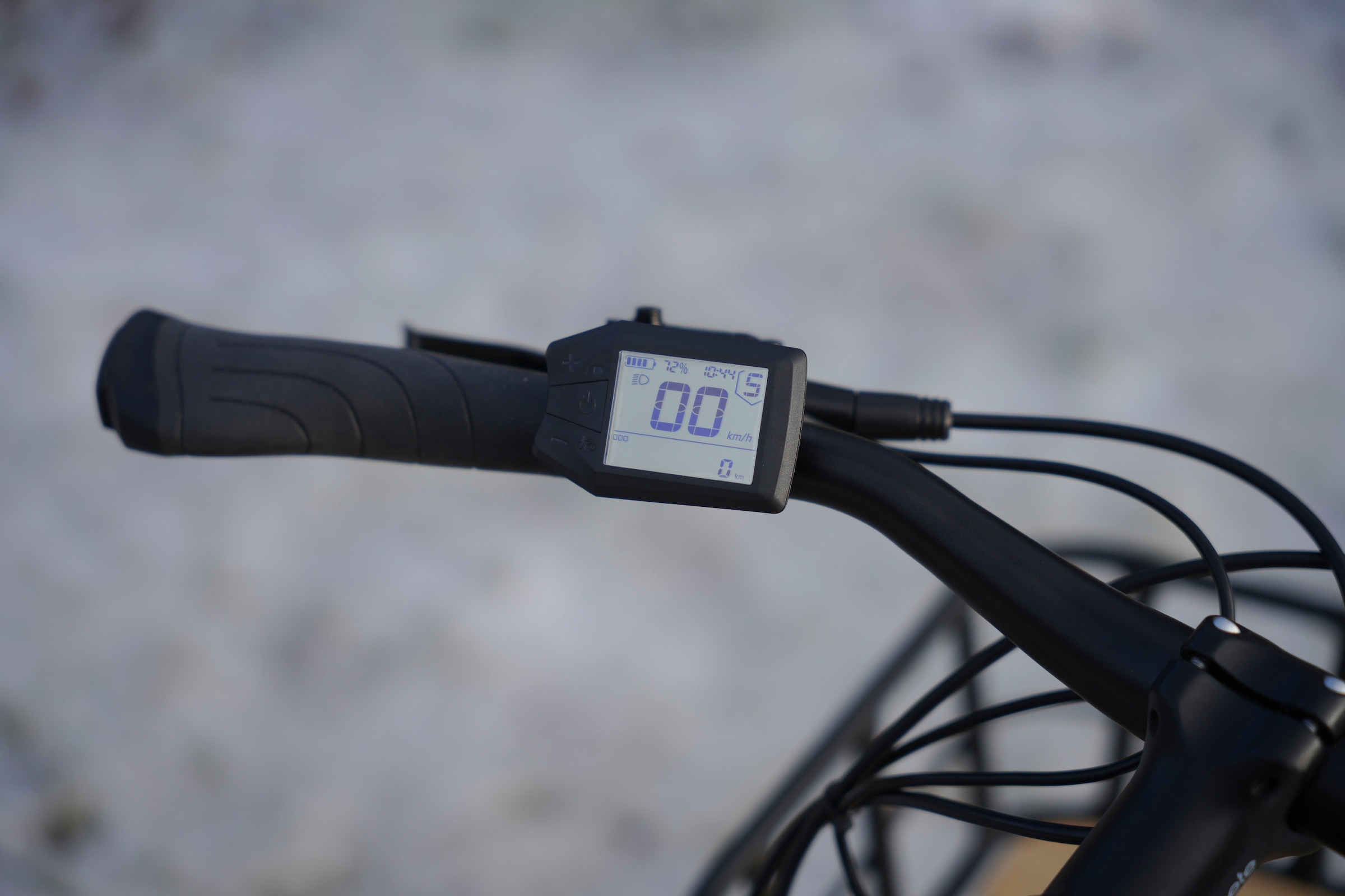 Prophete »Urbanicer 3.8« 7 Gang Shimano Nexus Schaltwerk Nabenschaltung Mittelmotor 250 W