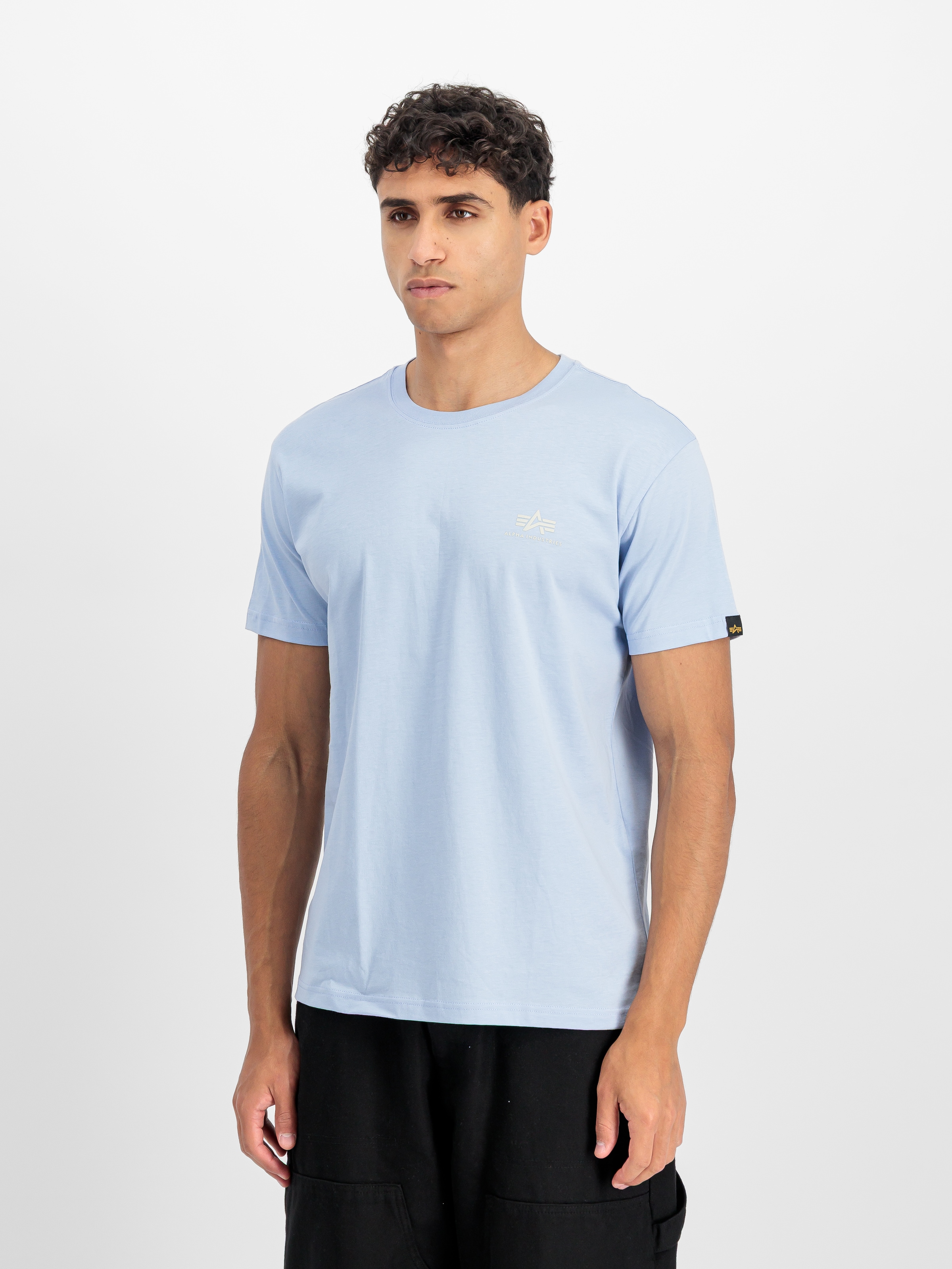 Alpha Industries Rundhalsshirt "BASIC T SMALL LOGO" Baumwolle, regular fit günstig online kaufen
