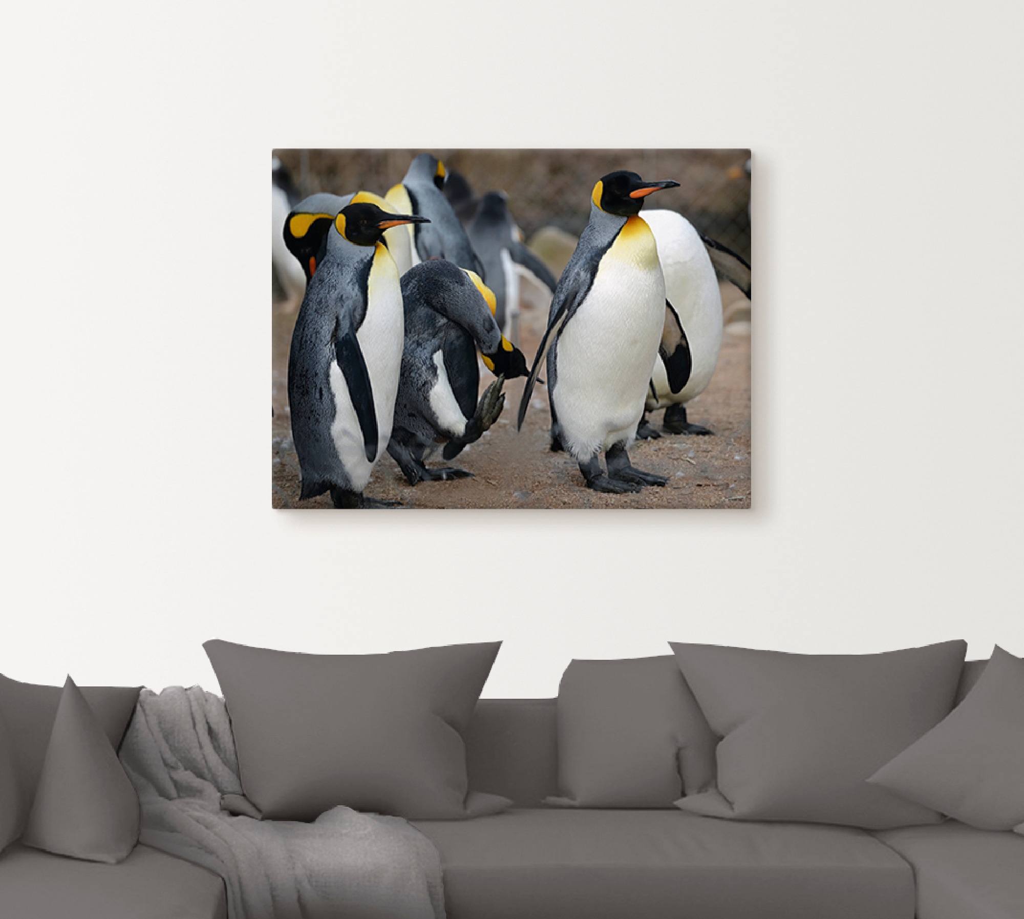 Artland Wandbild »Königspinguin«, Vögel, (1 St.), als Leinwandbild, Wandaufkleber in verschied. Größen