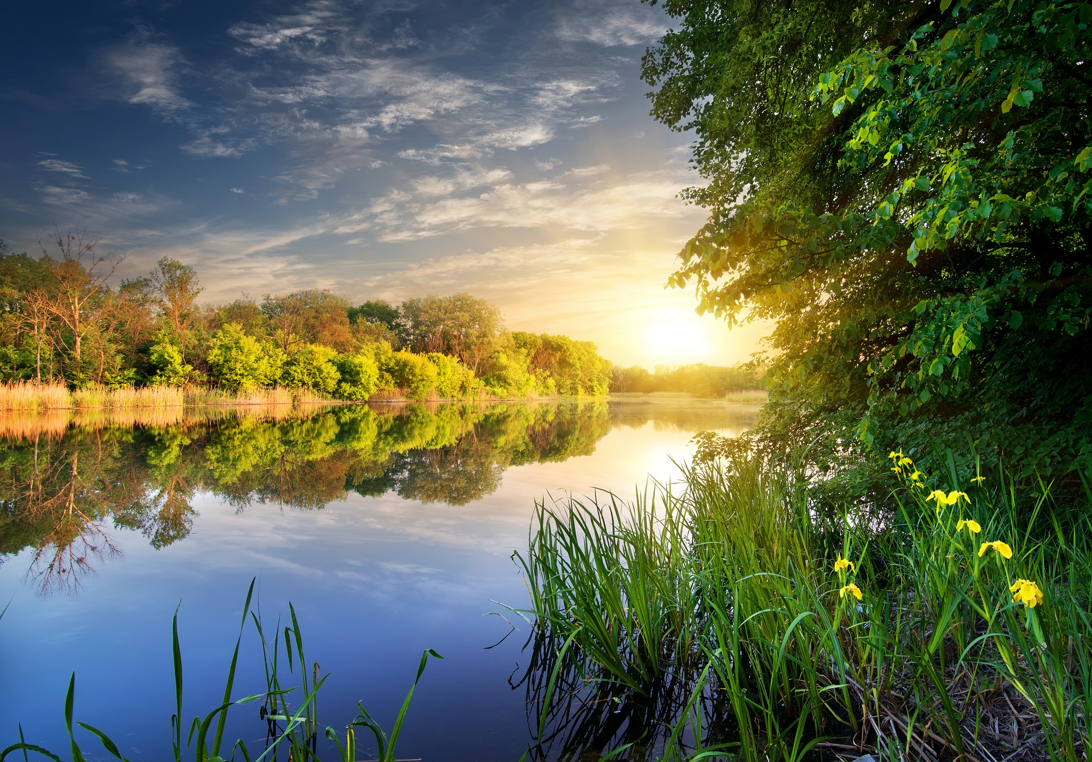 Papermoon Fototapete "River at the Sunset" glatt