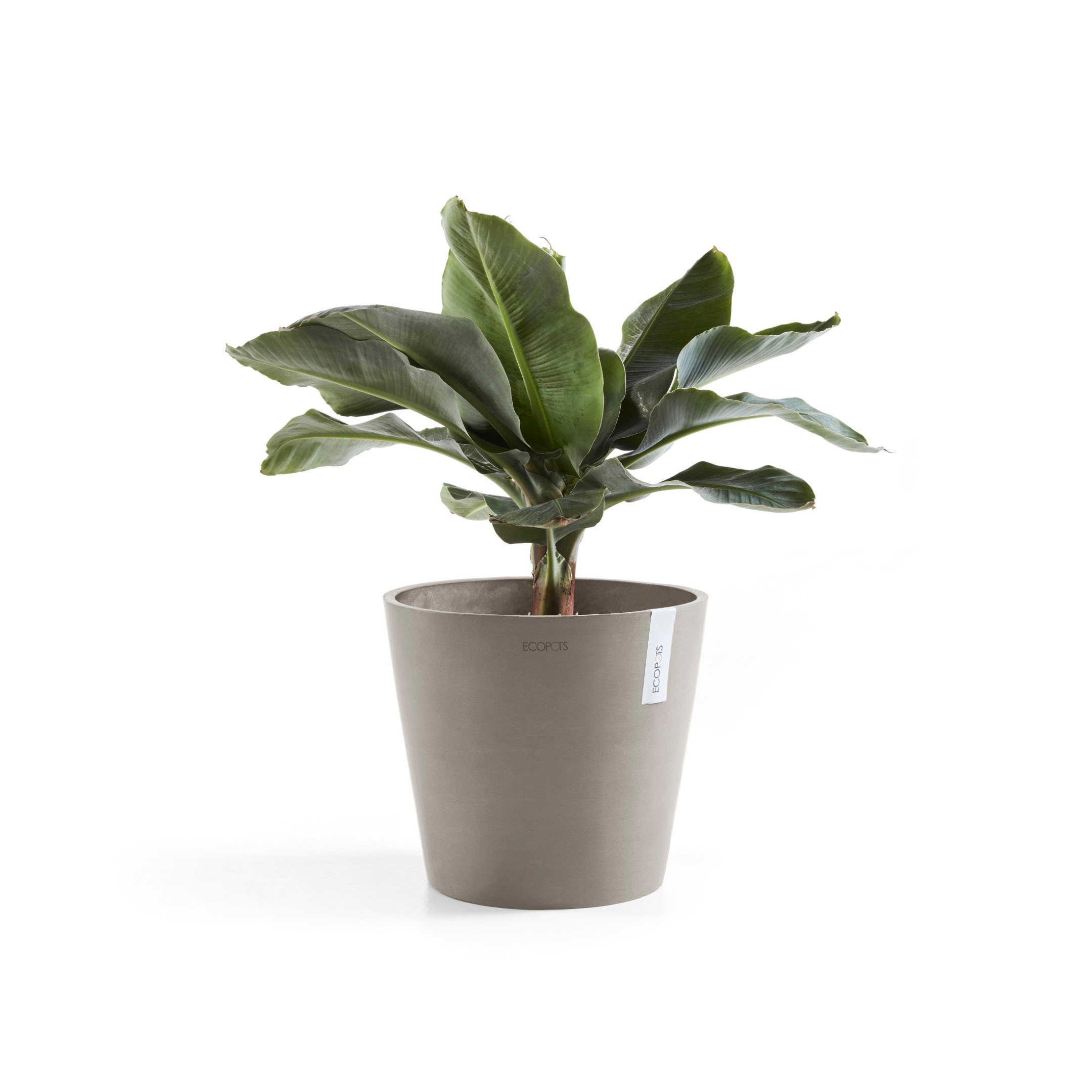 ECOPOTS Blumentopf »Amsterdam«, ØxH: 40x35 cm