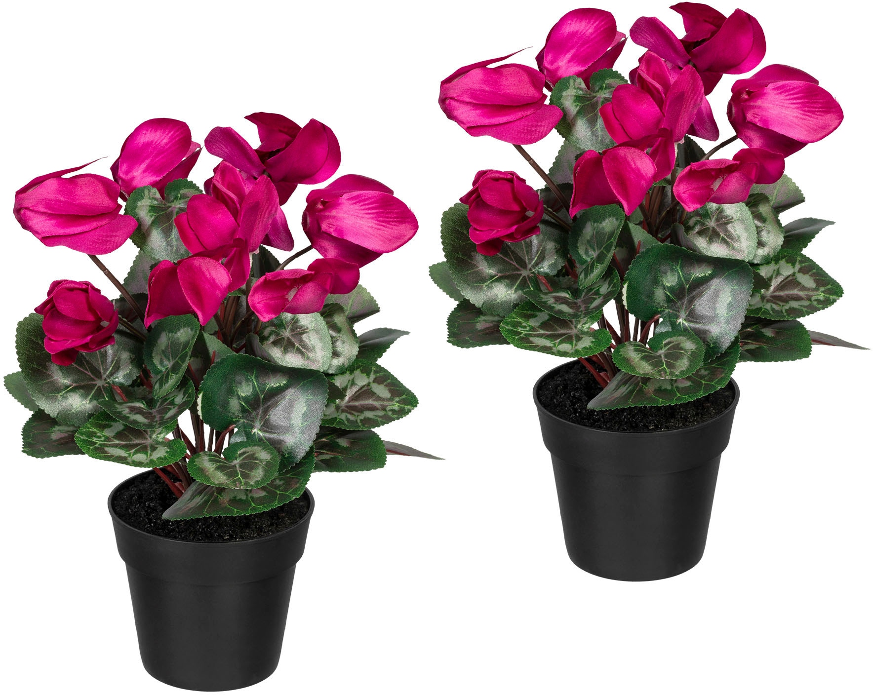 Creativ green Künstliche Zimmerpflanze »Alpenveilche...