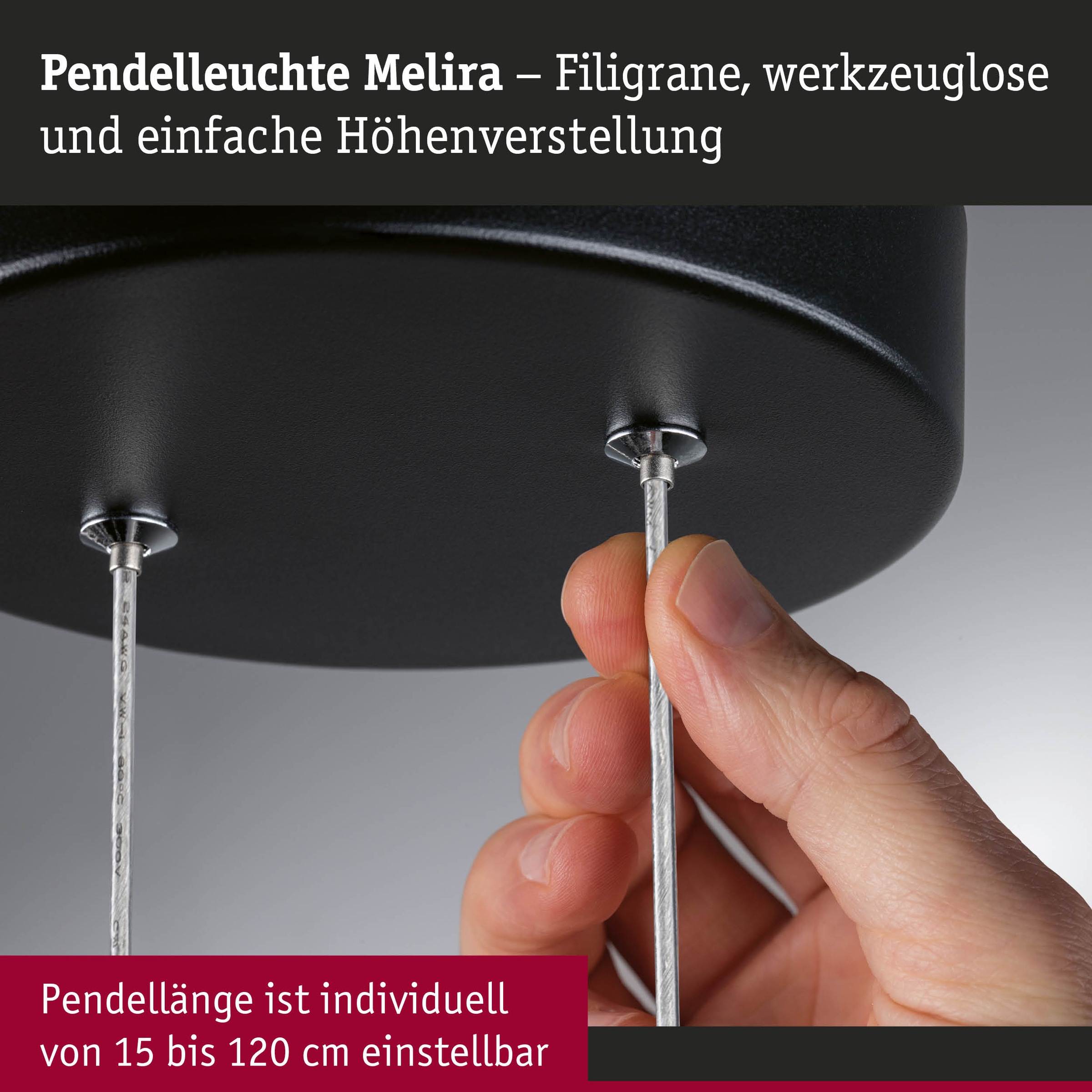 Paulmann LED Pendelleuchte »Melira LED 24W Gold /Schwarz 230V Metall« LED-Modul 1 Stk. 3-Step-Dim