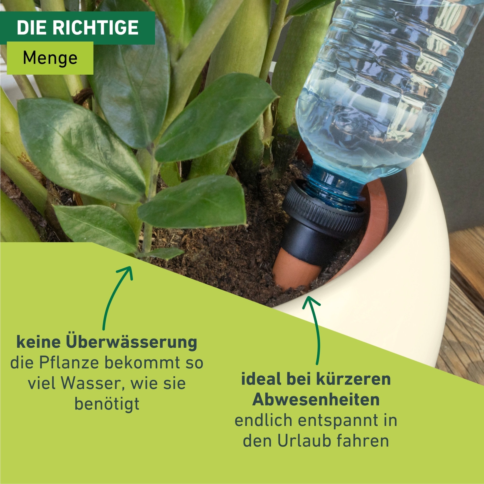 Windhager Tropfer »Wasserspender« (Set, 3 Stk. tlg.)  Flaschenadapter zur konstant dosierten Bewässerung