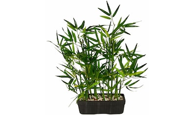 Kunstpflanze »Bambus«