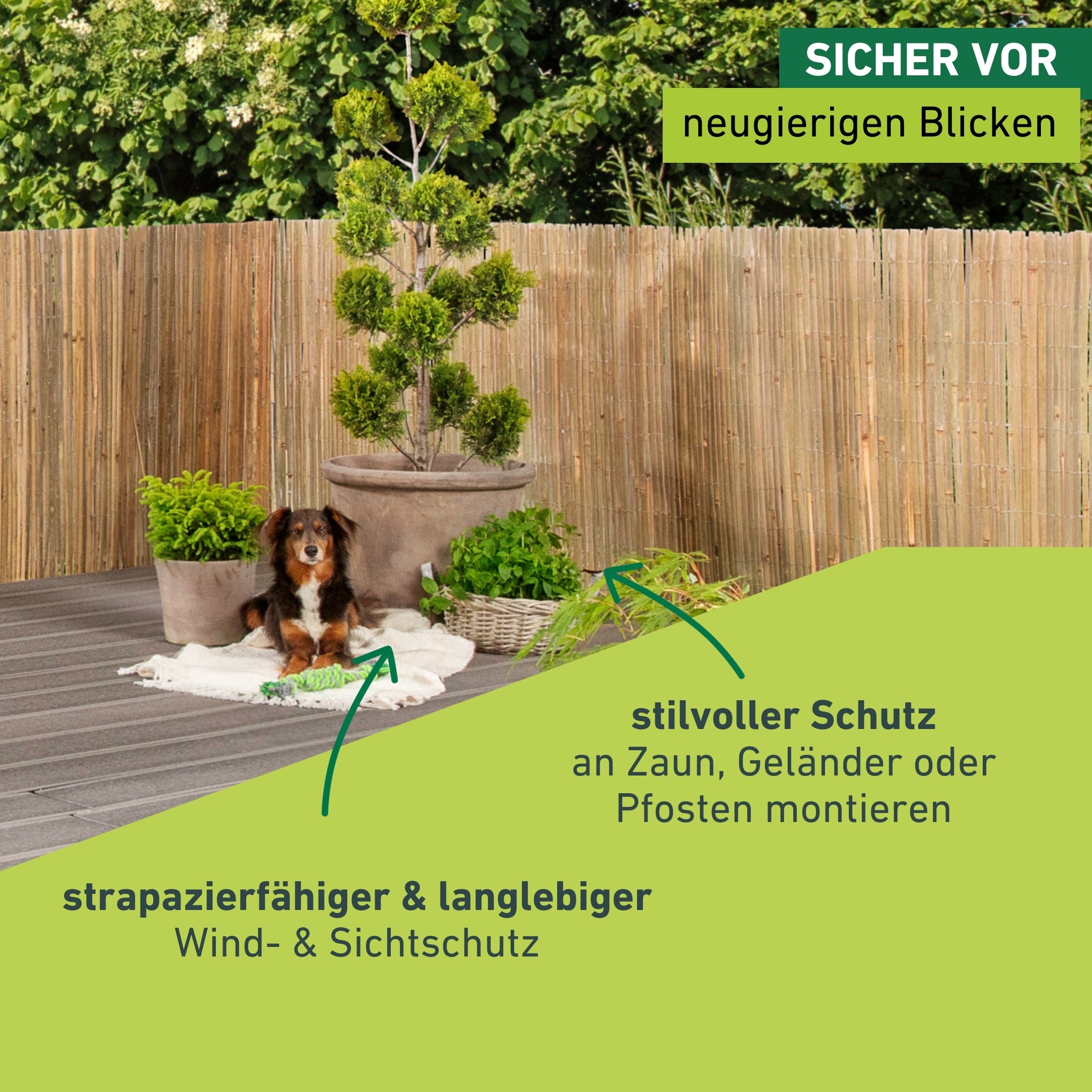 Windhager Sichtschutzzaunmatten natürlicher Sicht- und Windschutz für Balkon und Terrasse, L: 3 m