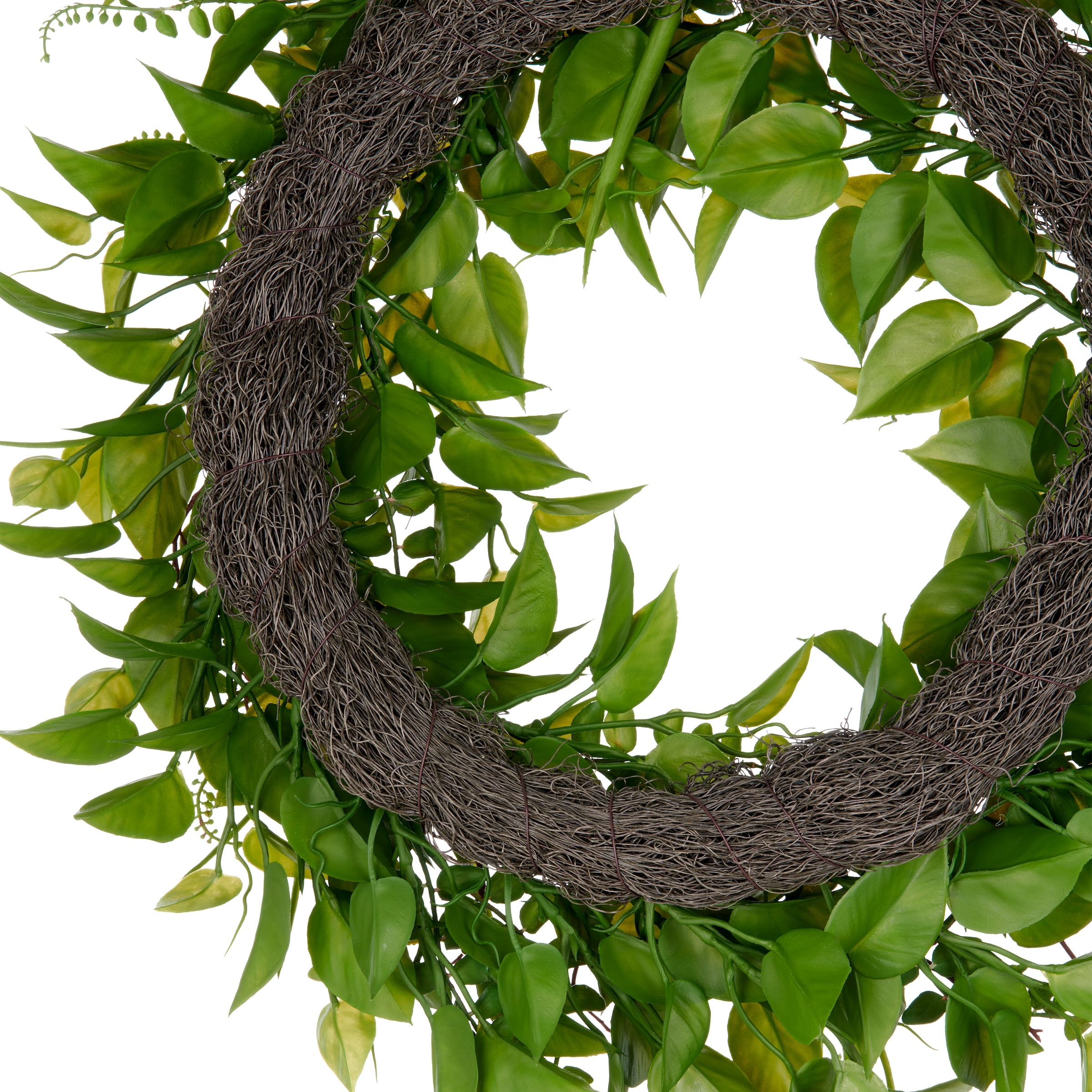 Creativ green Kunstkranz »Kranz mit Blättern«, mit detailgetreuen Blatt- und Farnzweigen
