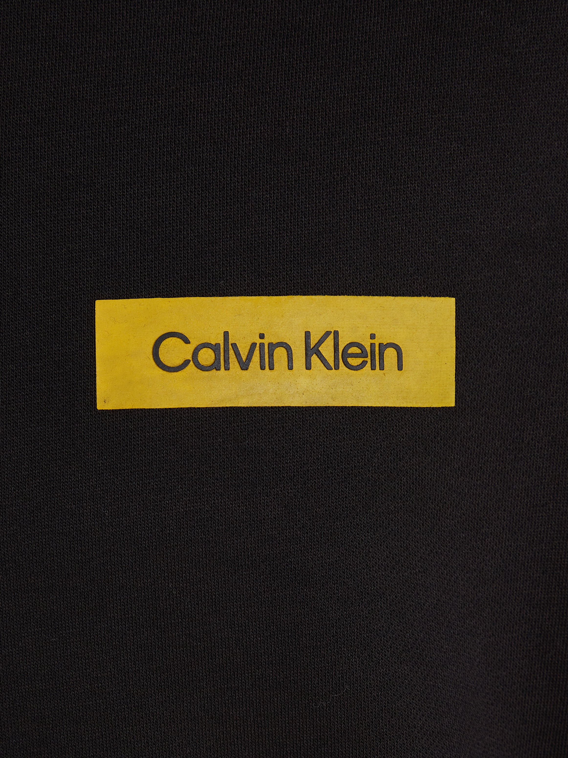 Calvin Klein Kapuzensweatshirt »SENSE LAYER BACK GRAPHIC HOODIE«