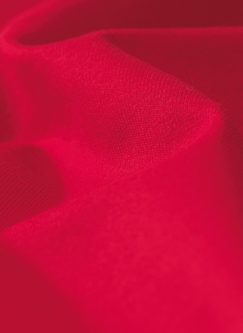 Trigema Bermudas "TRIGEMA Bermuda aus 100% Baumwolle" günstig online kaufen