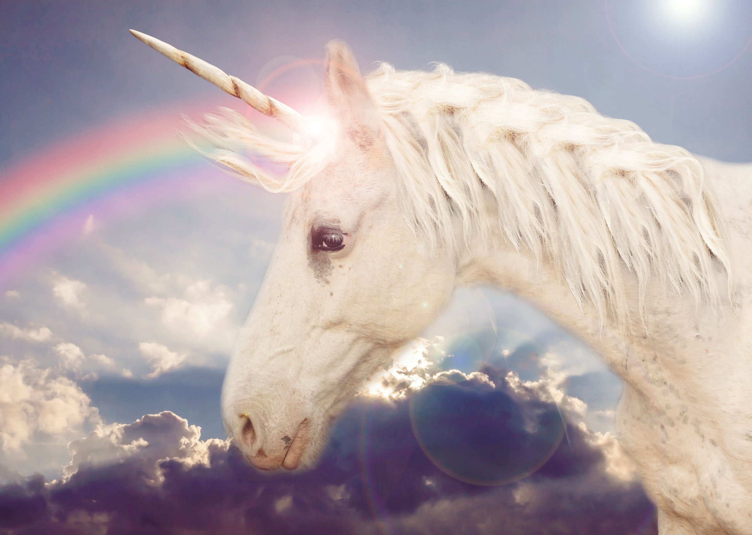 Papermoon Fototapete "Unicorn Rainbow" glatt