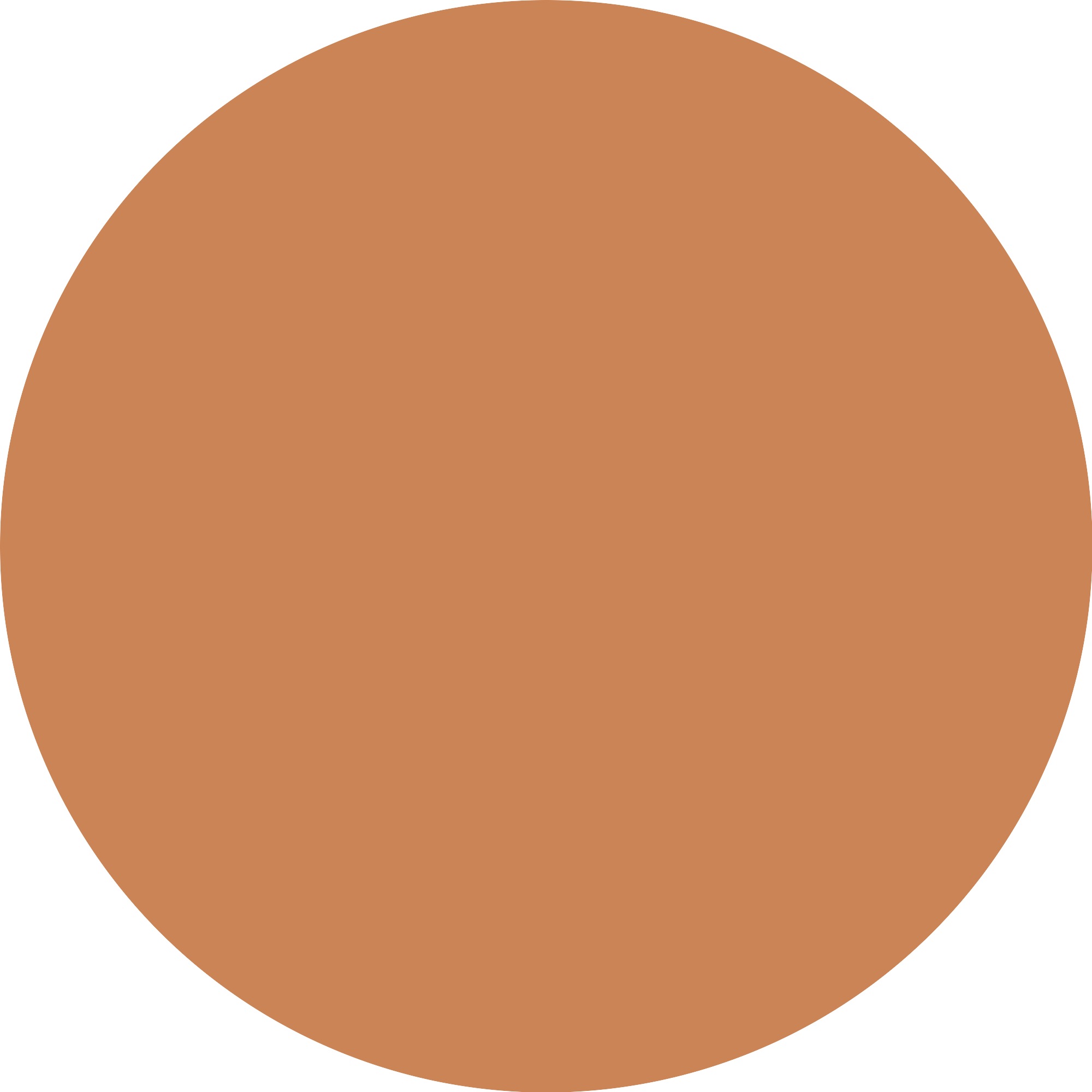 Essence Foundation »SKIN tint«, (3er Pack), mit veganen Inhaltsstoffen