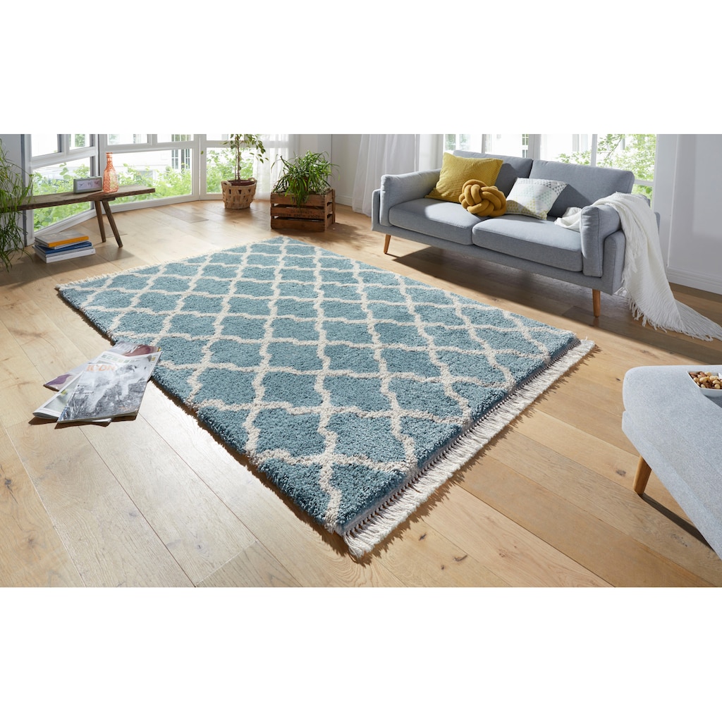 HANSE Home Hochflor-Teppich »Pearl«, rechteckig