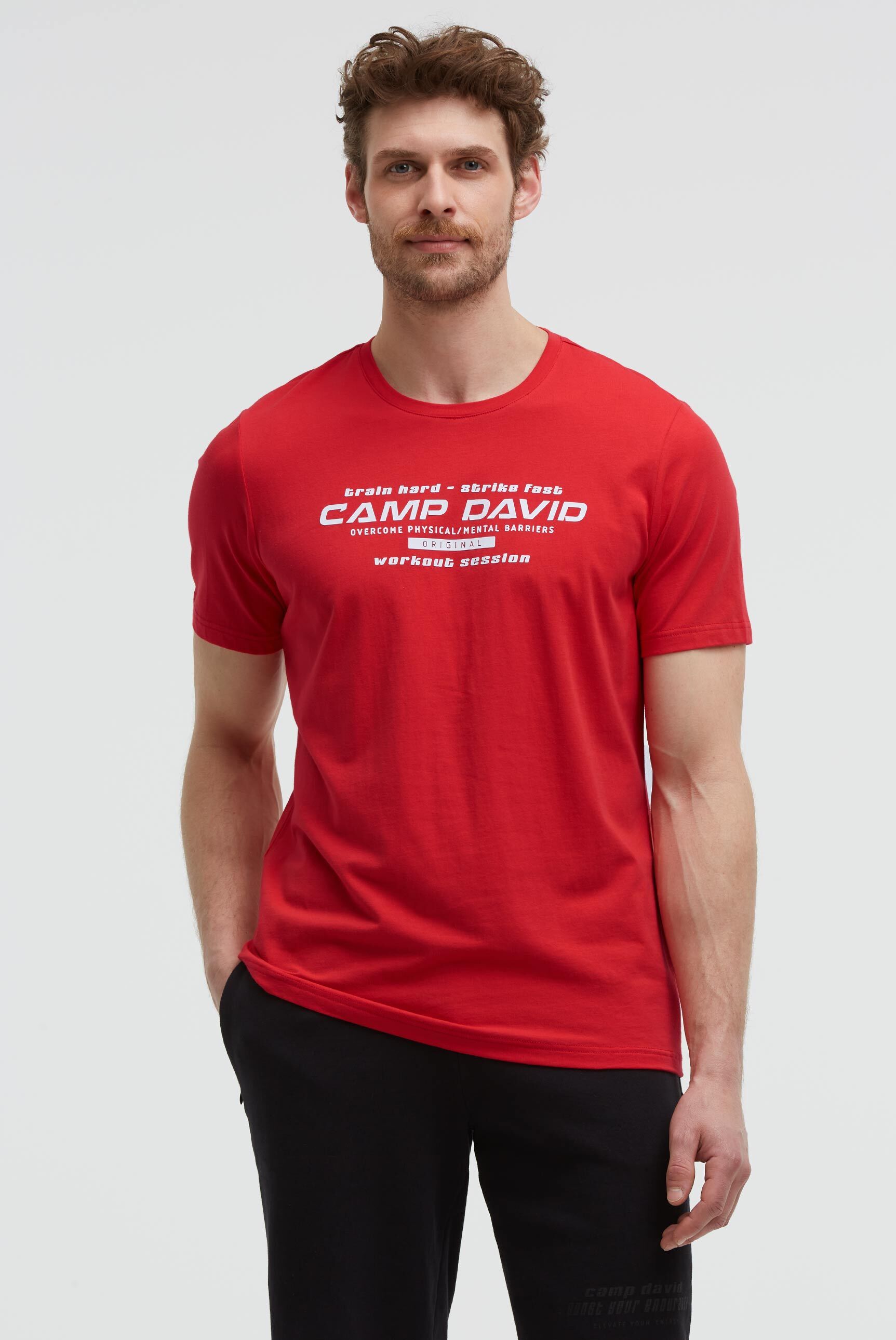 CAMP DAVID mit Necktape