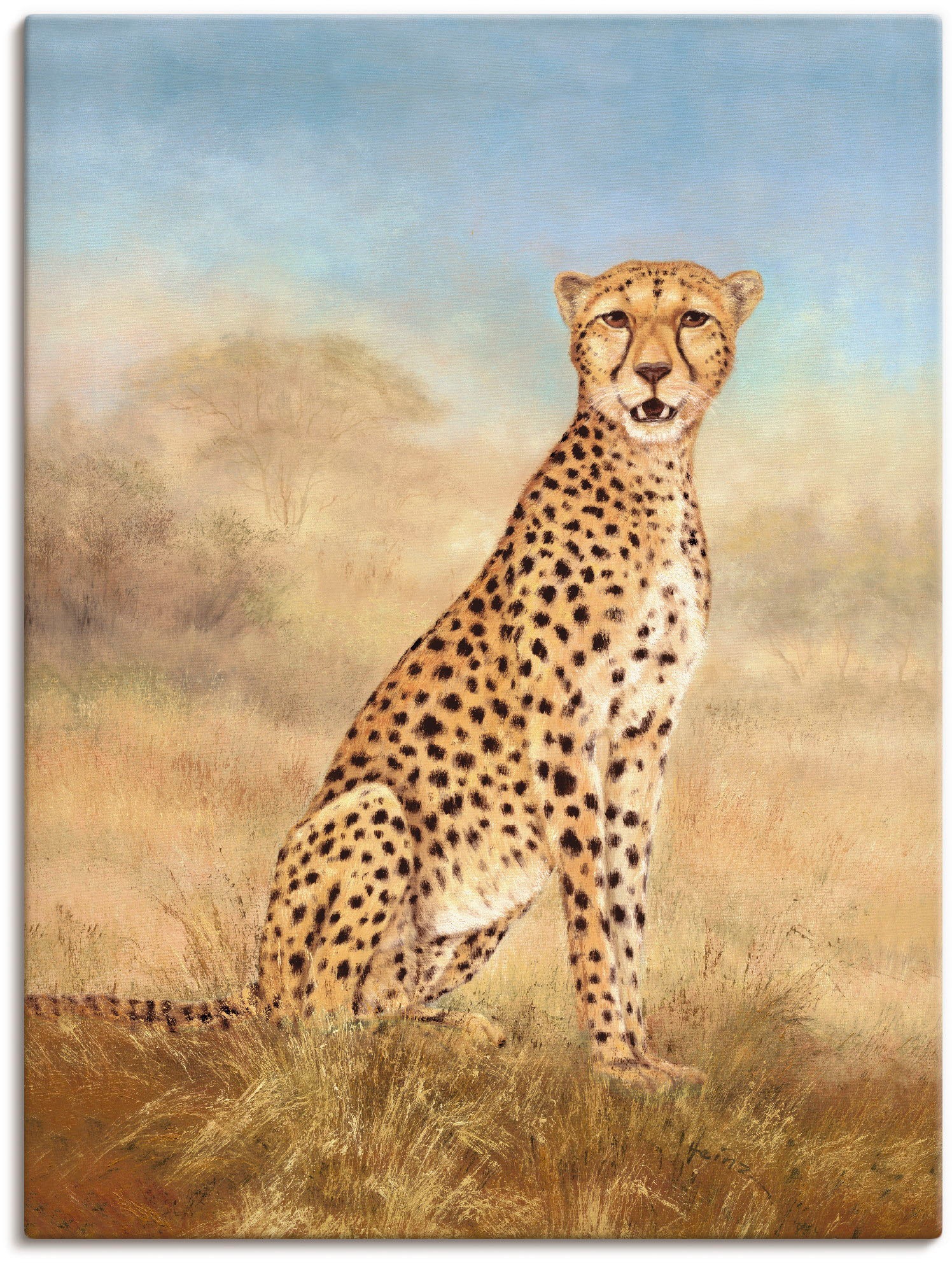 »Gepard Größen in bestellen Wildtiere, (1 | Wandbild als versch. BAUR Artland Leinwandbild, Savanne«, Alubild, Poster Wandaufkleber St.), oder