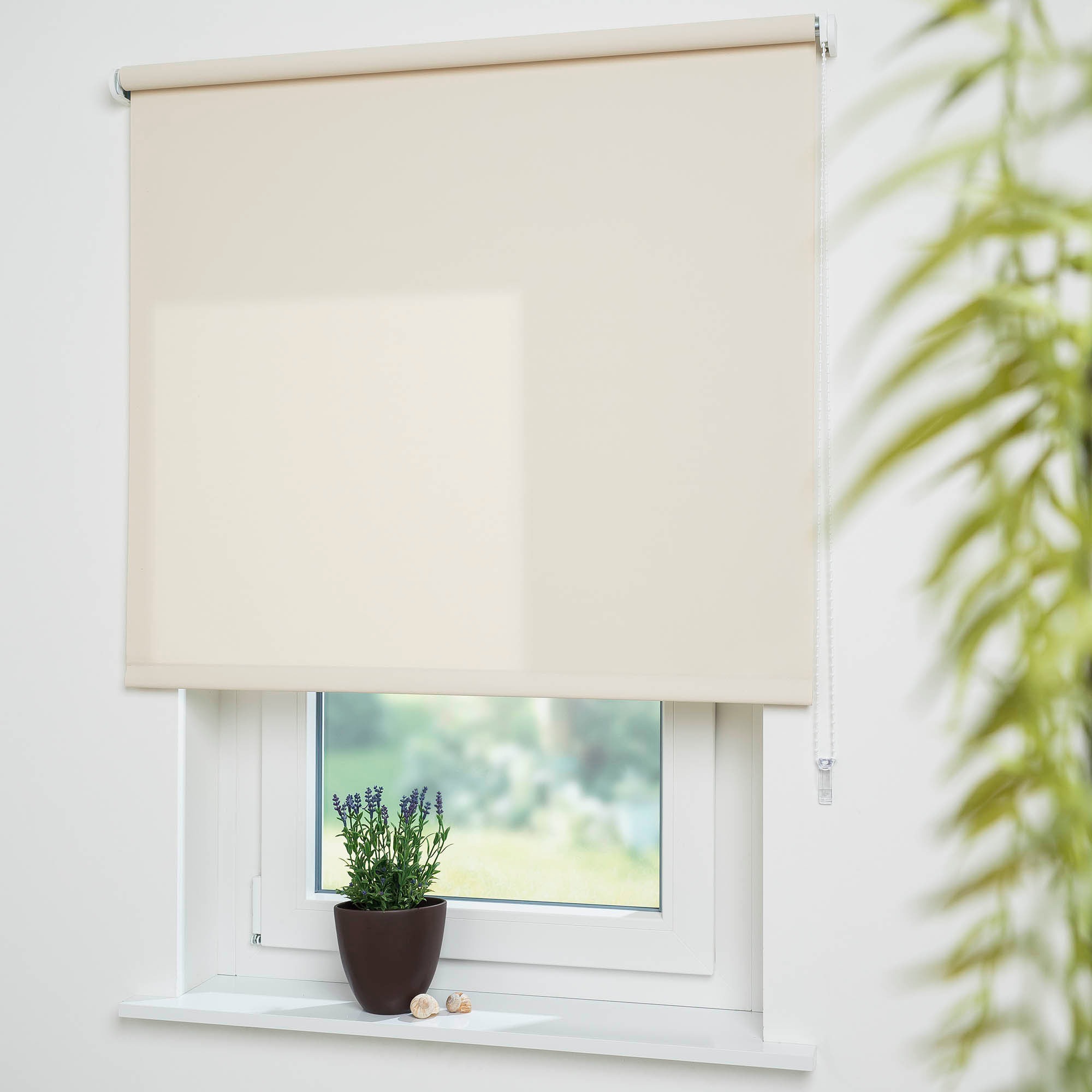 Liedeco Seitenzugrollo "Uni" Lichtschutz mit Bohren freihängend Welle 36 mm günstig online kaufen