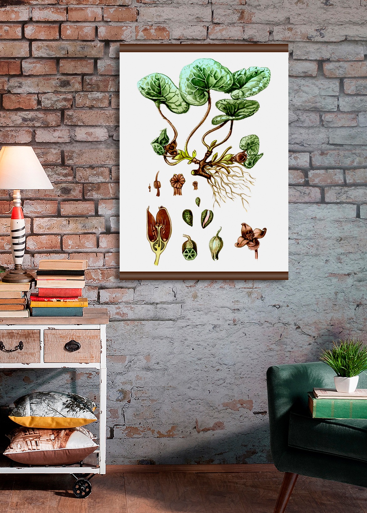 queence Leinwandbild »Pflanzen Anatomie«, 50x70 cm kaufen | BAUR | Leinwandbilder