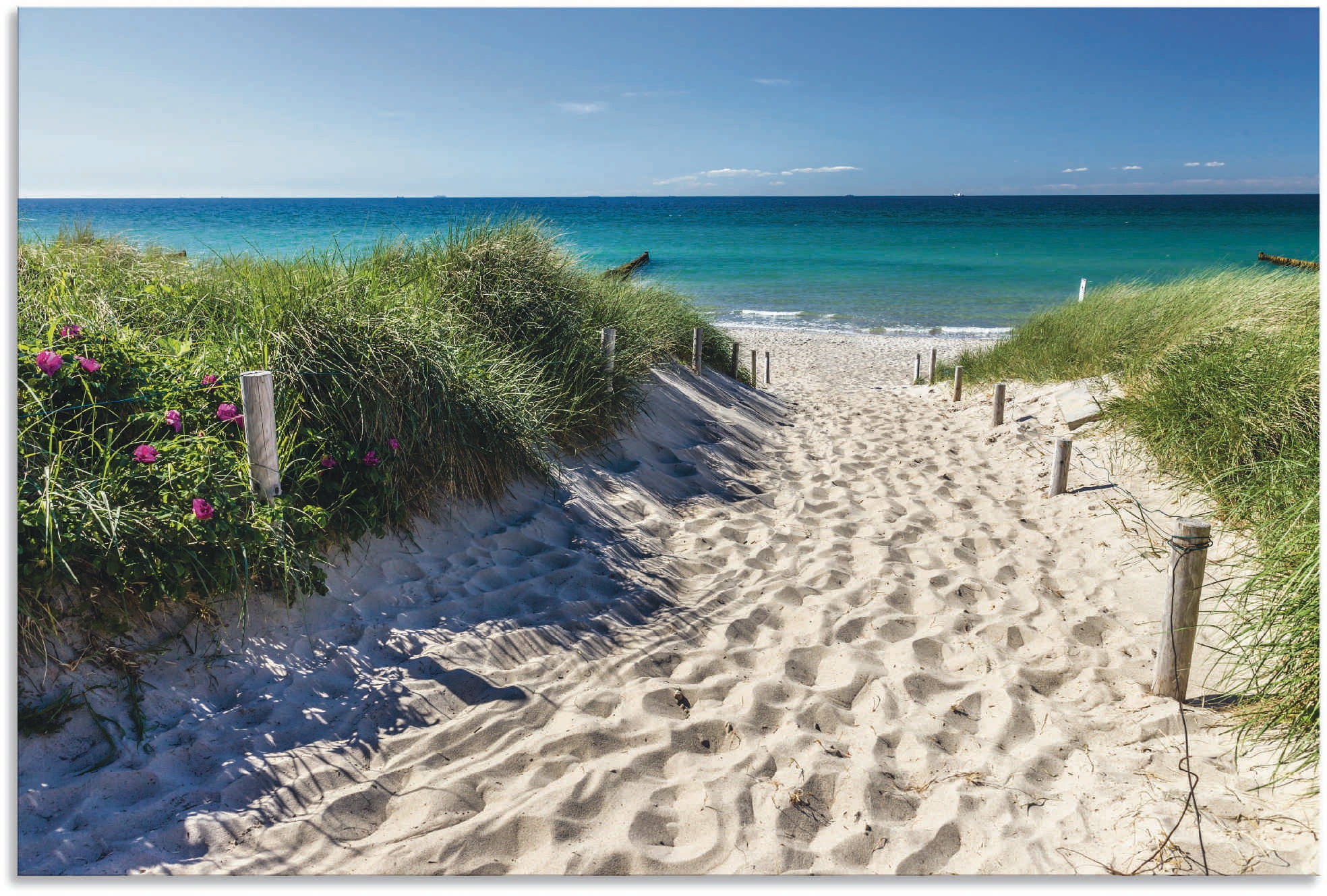 Wandbild »Weg zum Strand an der Ostsee«, Strandbilder, (1 St.), als Alubild,...